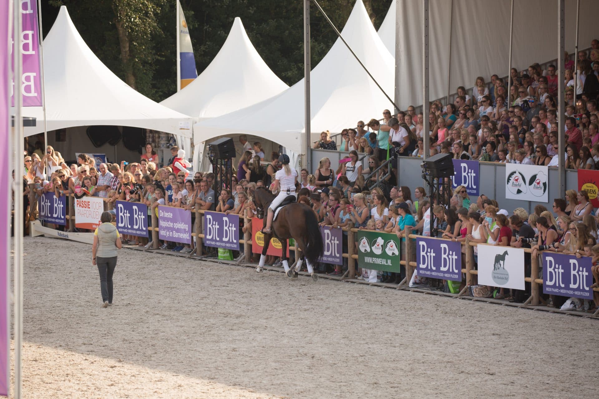 Horse Event Tineke Bartels en Britt Dekker - Academy Bartels